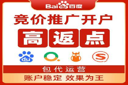 SEM竞价推广案例：电商行业成功案例解析